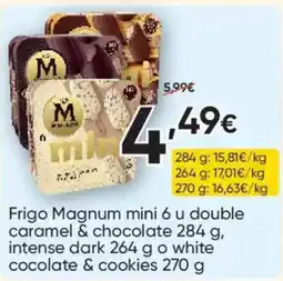 FROIZ Frigo Magnum mini oferta