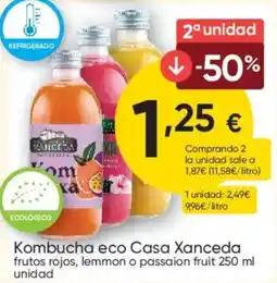 FROIZ Kombucha eco Casa Xanceda oferta