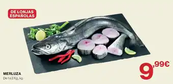 Merluza