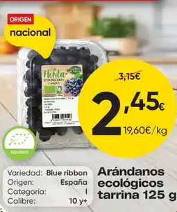 FROIZ Na Horta arándanos ecológicos oferta