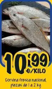 Cash Fresh Corvina fresca nacional oferta