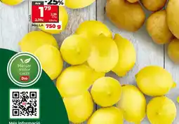 Maxi Dia Dia limones oferta