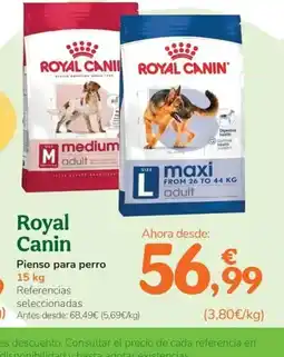 TiendAnimal ROYAL CANIN Pienso para perro oferta