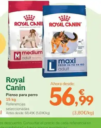 ROYAL CANIN Pienso para perro