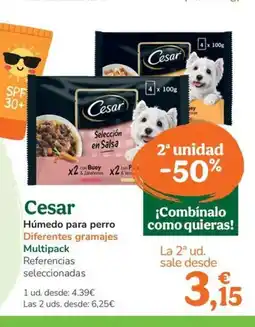 TiendAnimal CESAR Húmedo para perro oferta