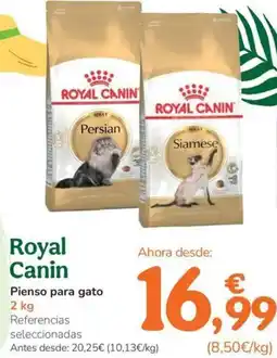 TiendAnimal ROYAL CANIN Pienso para gato oferta