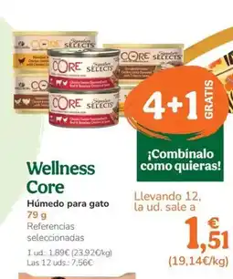 TiendAnimal WELLNESS CORE Húmedo para gato oferta