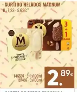 Family Cash MAGNUM helados oferta
