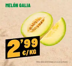 AhorraMas Melón Galia oferta