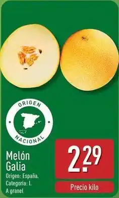 ALDI Melon galia oferta
