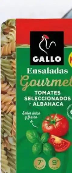 Gallo - ensaladas gourmet