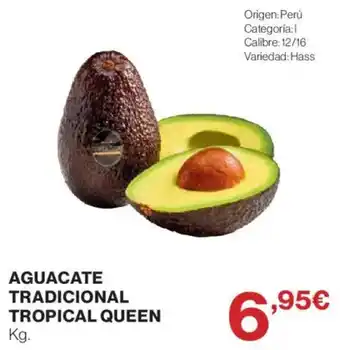 Aguacate tradicional tropical queen