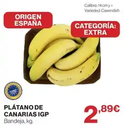El Corte Inglés Plátano de Canarias IGP oferta