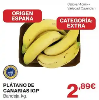 Plátano de Canarias IGP