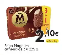 FROIZ Frigo Magnum almendras oferta