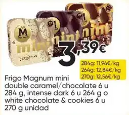 FROIZ Frigo Magnum mini double caramel/chocolate oferta