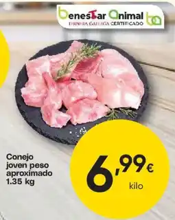FROIZ Conejo joven oferta