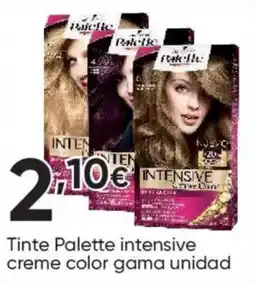 FROIZ Palette tinte intensive creme color oferta