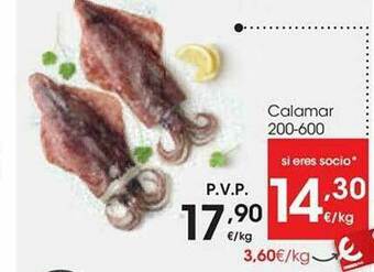 Eroski Calamar 200-600 oferta
