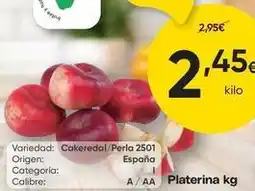 FROIZ Origen - platerina oferta