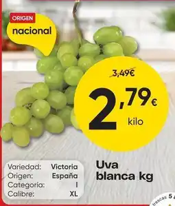 FROIZ Origen - uva blanca oferta