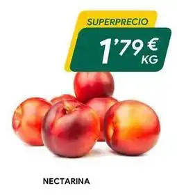 Masymas Nectarina oferta