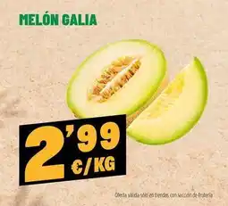 AhorraMas Melón galia oferta