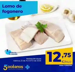 5 Océanos Lomo de fogonero oferta