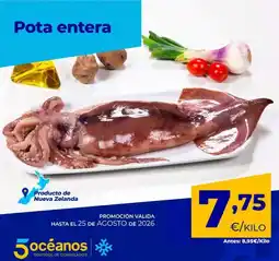 5 Océanos Promocion valida oferta