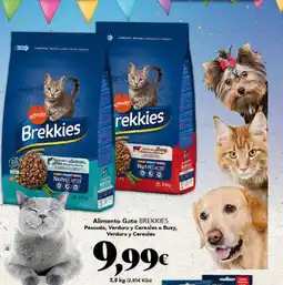 Gadis BREKKIES Alimento Gato oferta