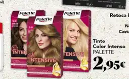 Gadis PALETTE Tinte Color Intenso oferta