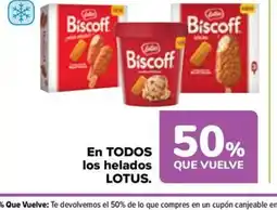 Carrefour Market LOTUS En todos los helados oferta