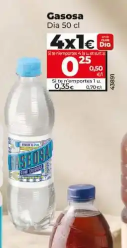 Dia Dia Gasosa oferta