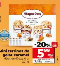 Dia Häagen-Dazs mini terrines de gelat caramel oferta