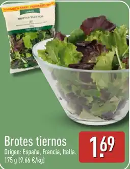 ALDI Brotes tiernos oferta