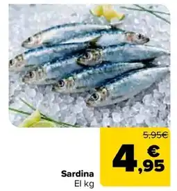 Carrefour Sardina oferta