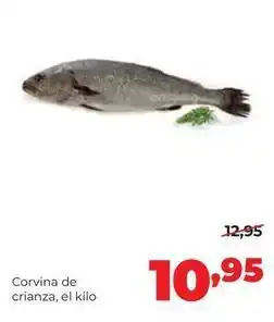Alimerka Alimerka - corvina de crianza oferta