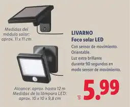 Lidl LIVARNO Foco solar LED oferta
