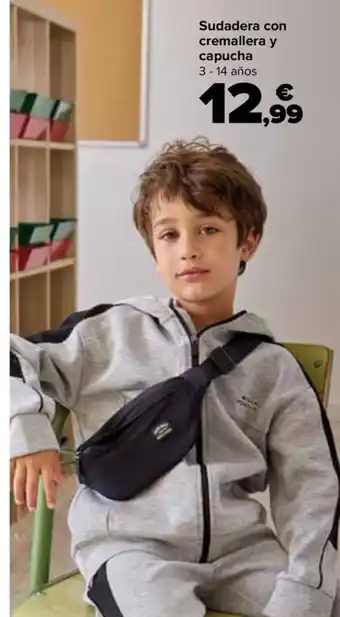 Sudadera con cremallera y capucha