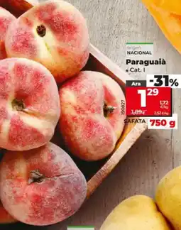 Maxi Dia Paraguaia oferta