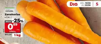 Dia Zanahorias oferta