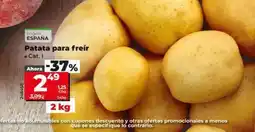 Dia Patata para freir oferta