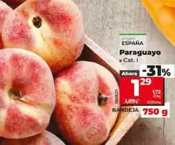 Dia Paraguayo oferta