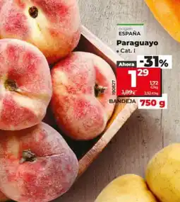 Dia Fresh Paraguayo oferta