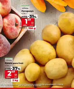 Dia Fresh Patata para freier oferta