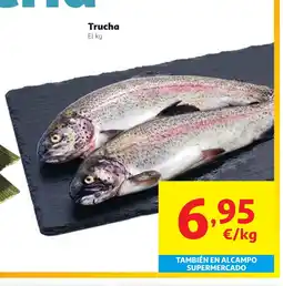 Alcampo Trucha oferta