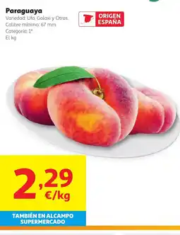 Alcampo Paraguaya oferta
