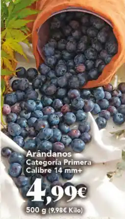 Gadis Arándanos oferta