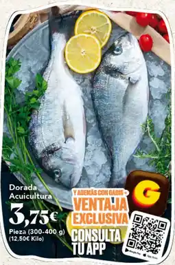 Gadis Dorada Acuicultura oferta