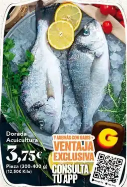 Gadis Dorada acuicultura oferta